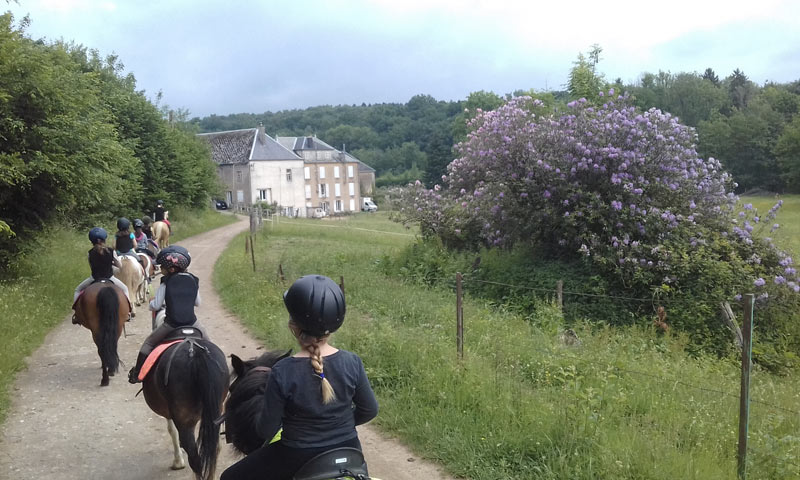 equestrian farm la chenaie located in Givonne Ardennes
